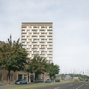 LEUARTT-thumbnail
